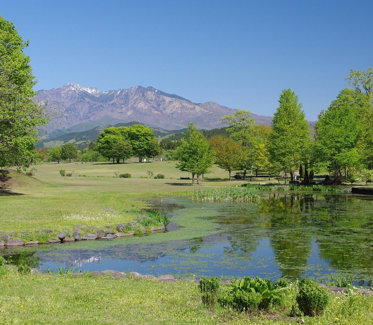🏞️ 다이야가와 공원(닛코 다이야가와 코엔) 이미지 6